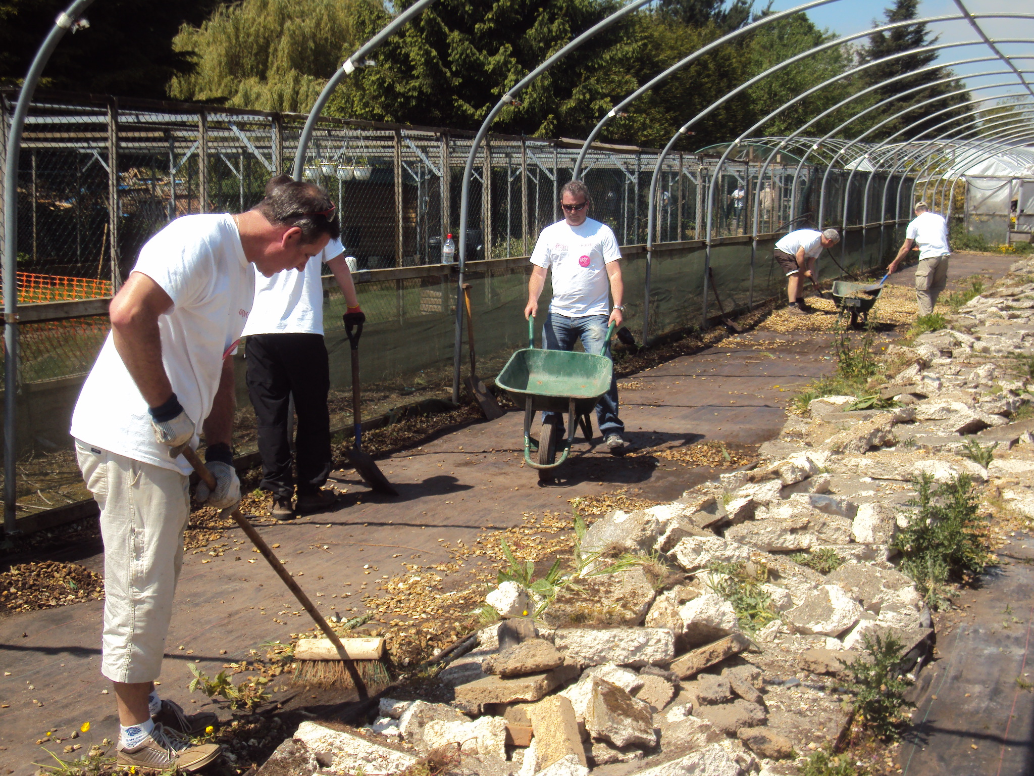 Working Parties Working Parties